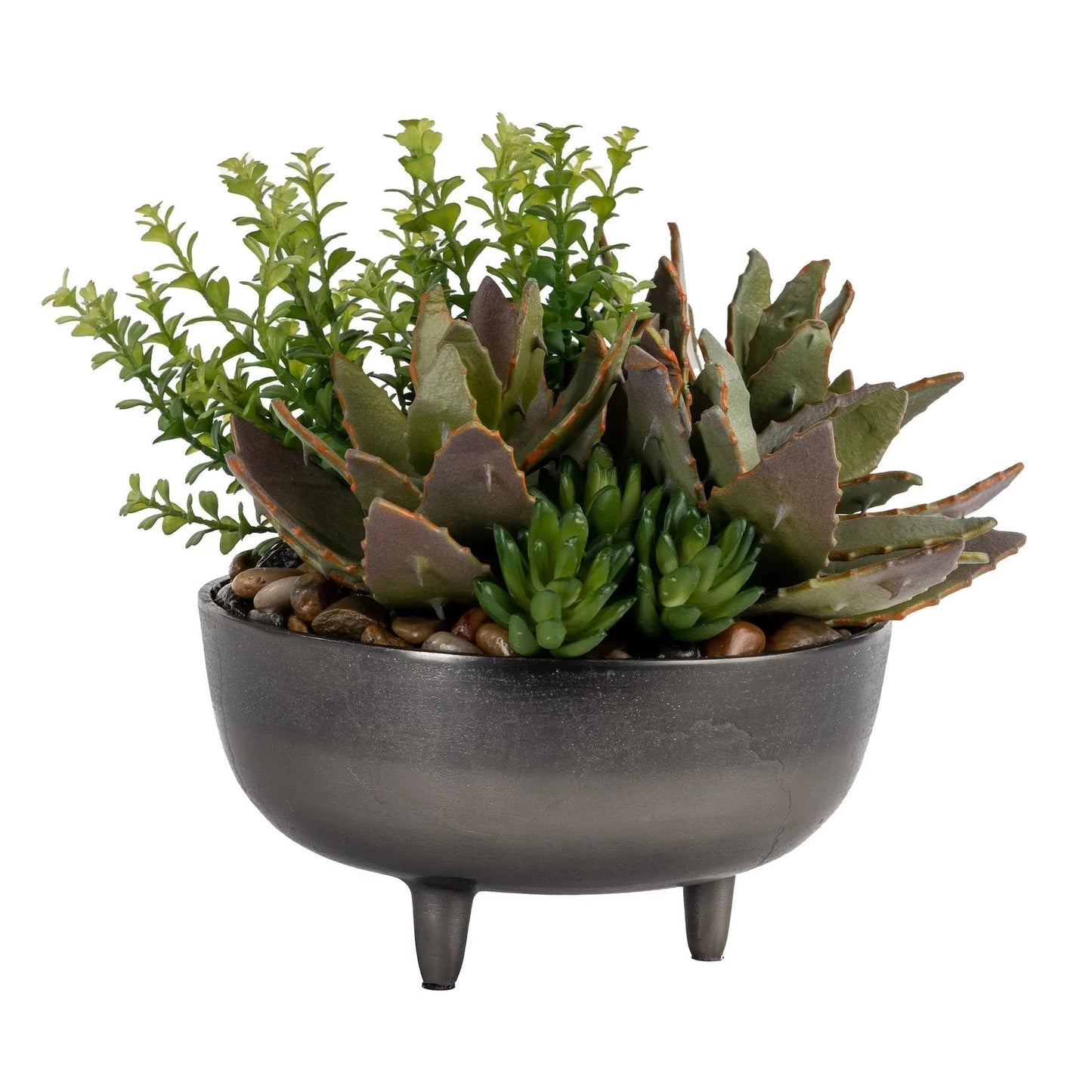 Ceramic Succulent Arrangement