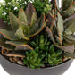 Ceramic Succulent Arrangement