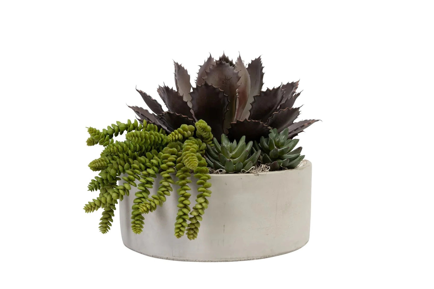 Rustic Stone Succulent Arrangement