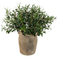 Vintage Olive Branch Planter