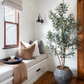 Olive Tree | 7.5' I No Olives