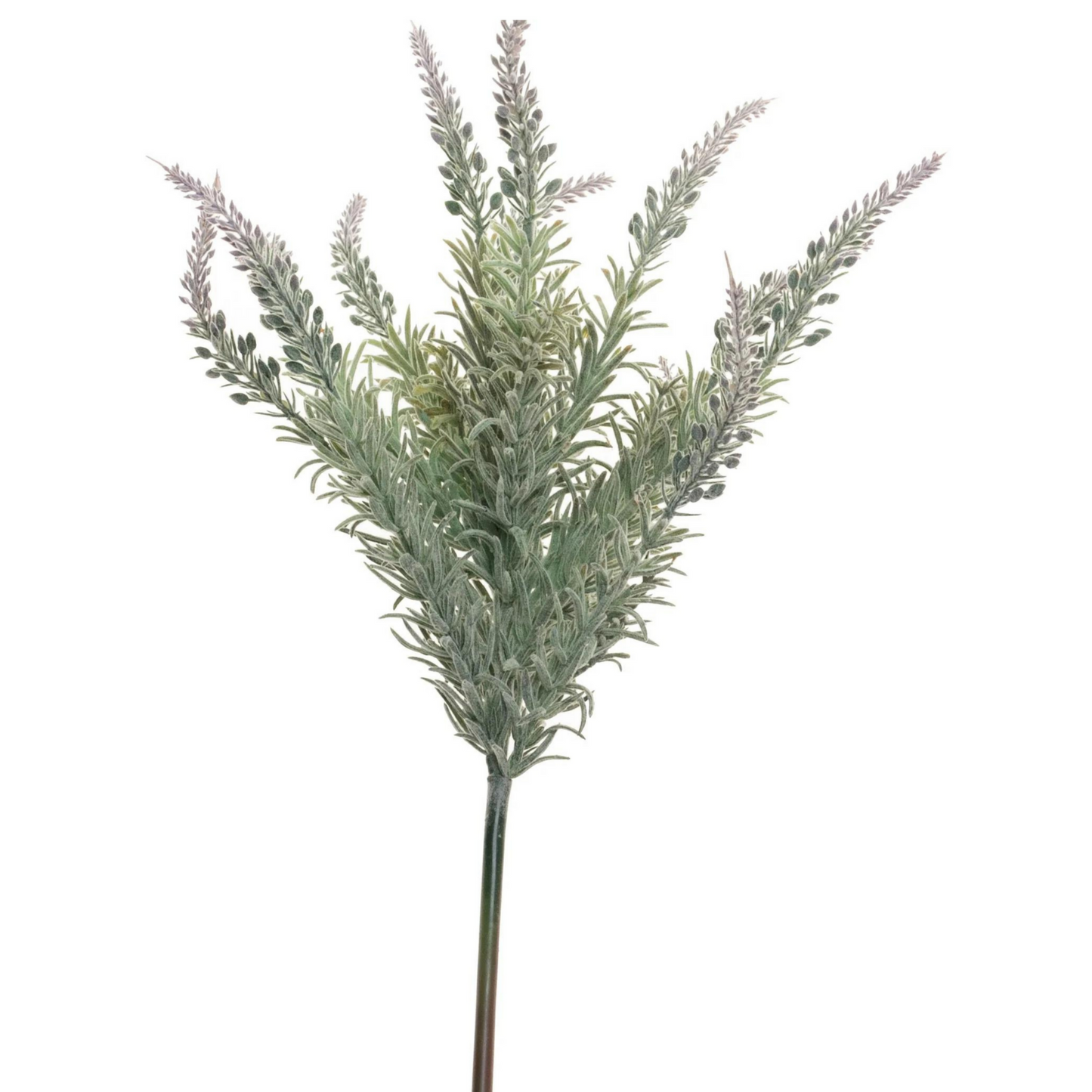 Lavender Stem